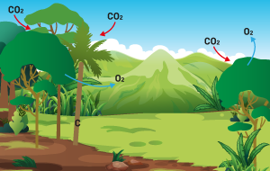 arboles-co2