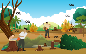 deforestacion-degradacion