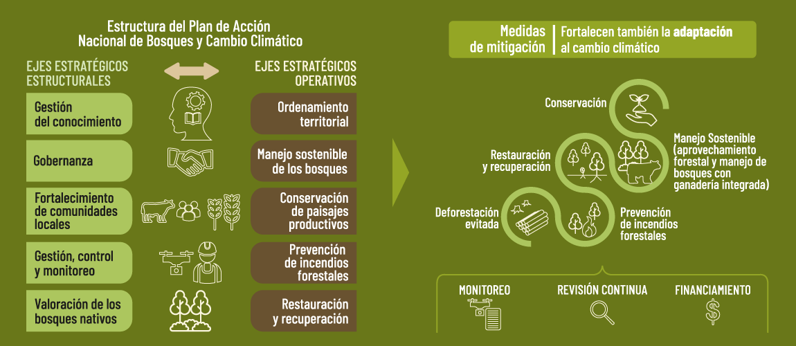 grafico-plan-accion-nacional-bosques