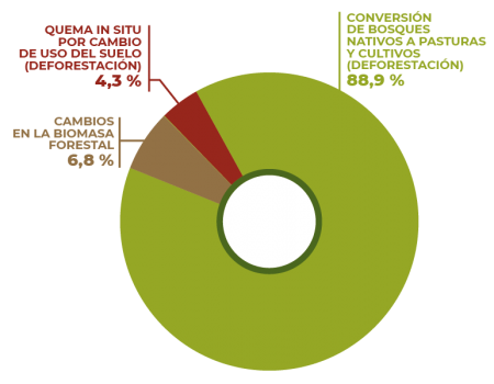 graficos_p_web-05